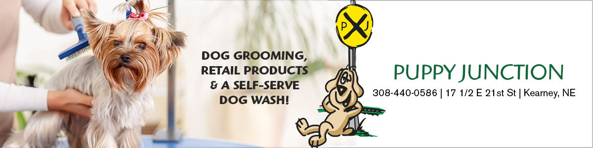 Sponsored by: Puppy Junction